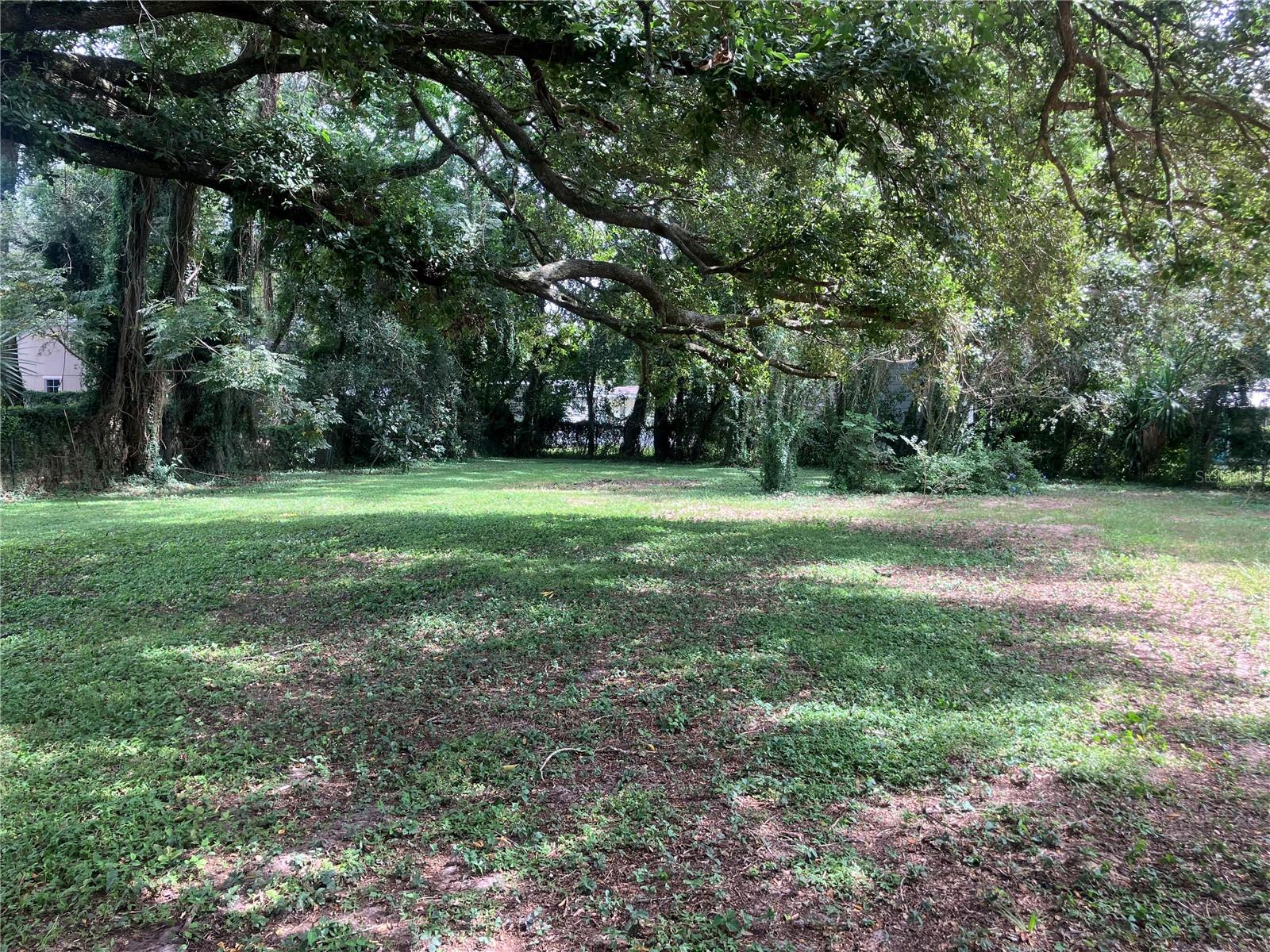 2013 LIVE OAK DRIVE