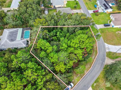 11148 GIFFORD DRIVE SPRING HILL FL 34608