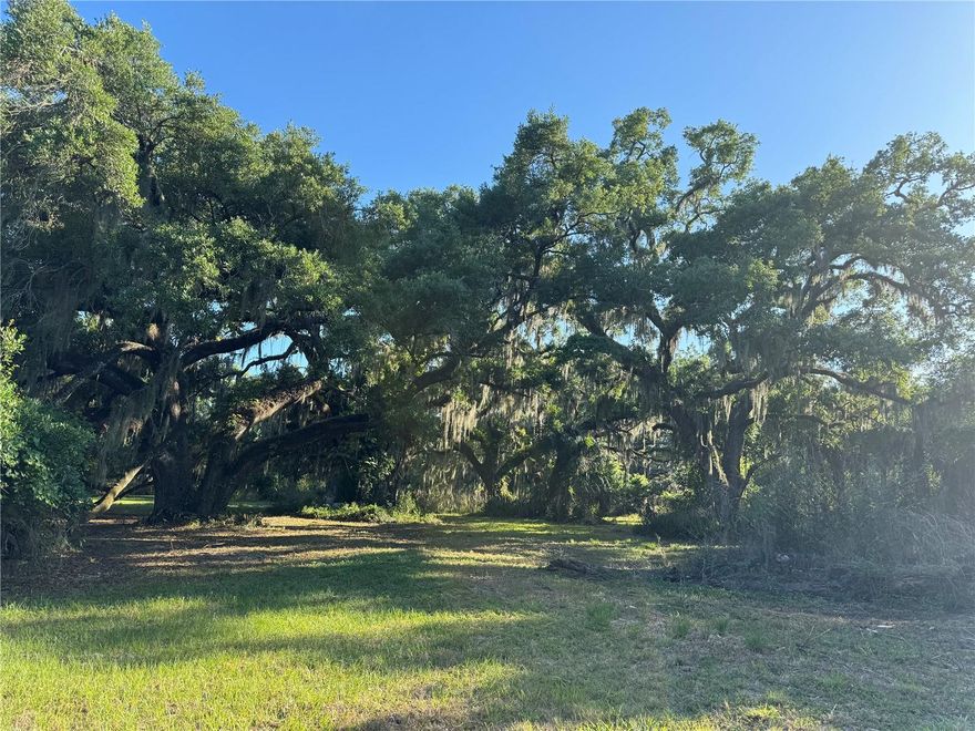 Welcome to old Florida, with just under an 11 acre expanse of the most beautiful ancient Oaks and Palms. Enter this incredible property that lies at the very end of a canopy road, centrally located in Sarasota.  This rare property offers stunning opportunity to someone desiring space and privacy, without sacrificing the convenience of being right in town.  The land could potentially be divided into a number of estate sized properties or further into a neighborhood if desired.  Because this property is bordered only by the established neighborhoods of Laurel Oak CC, The Hammocks and Barton Farms, there is virtually no outside noise.  Large portions of this land remain primarily untouched, however it does include two barns with seven stalls and three private paddocks, a 25’x30’ covered parking area (all with water and electric) and a pond!  This absolute gem of a property has been in the same family for over 50 years.  Come experience it for yourself and make it your own!