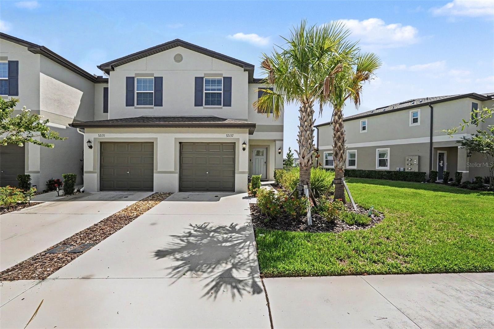 32137 POWDERPUFF MIMOSA DRIVE