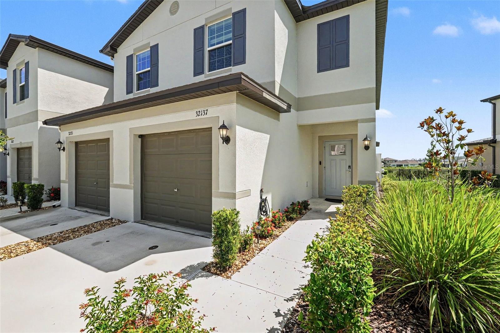 32137 POWDERPUFF MIMOSA DRIVE