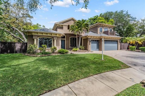 2233 ELCID COURT PALM HARBOR FL 34683