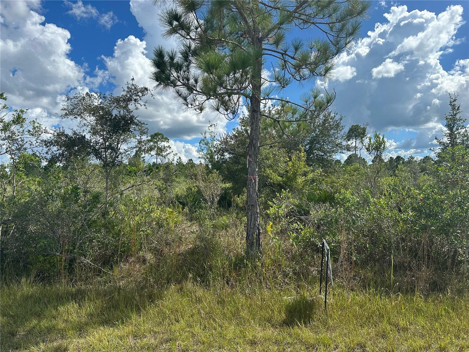 INDIAN LAKE ESTATES - Land