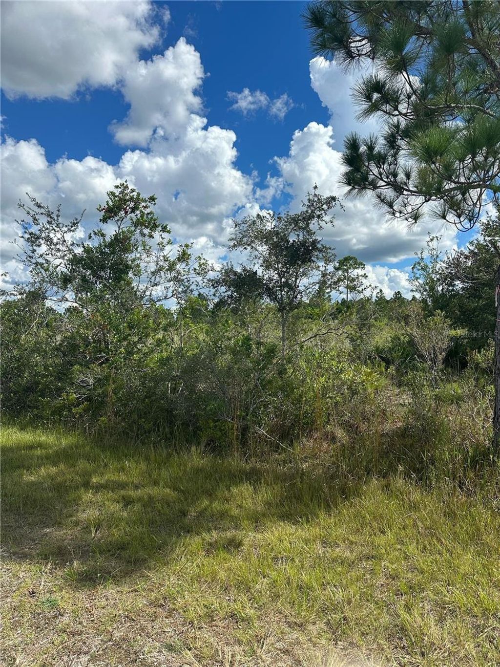 Photo of 511 Alba Drive, Indian Lake Estates, FL 33855 (MLS # S5137228)