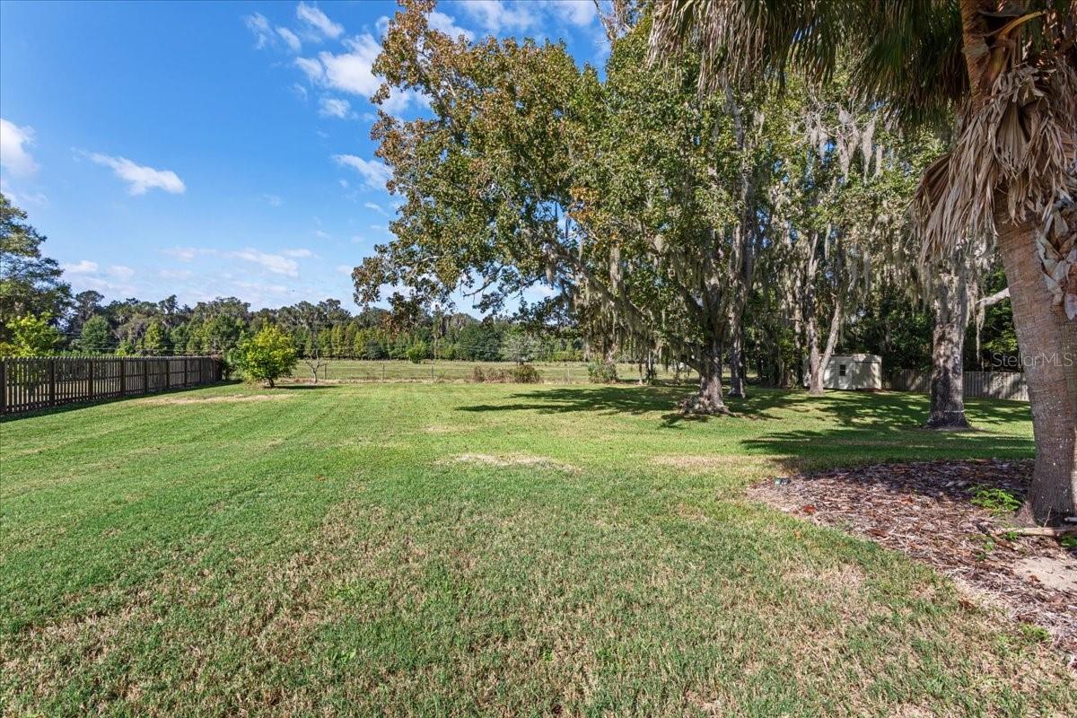 WOODFIELD REP - Residential