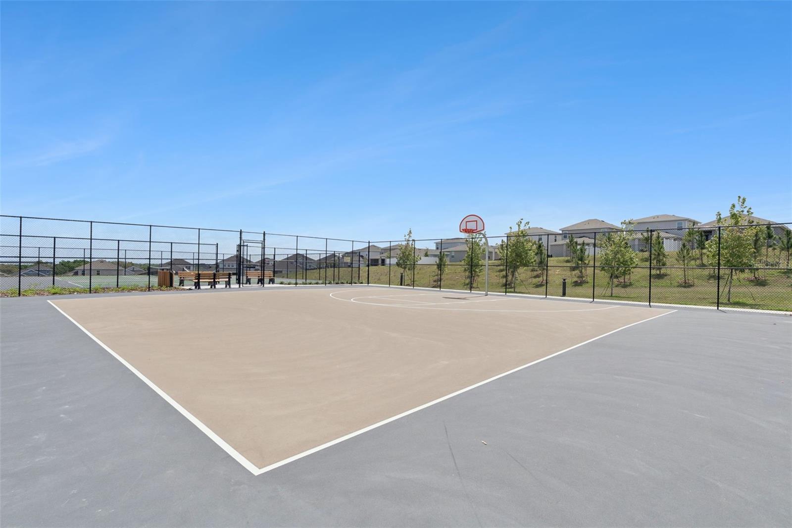 HILLS OF MINNEOLA - Residential