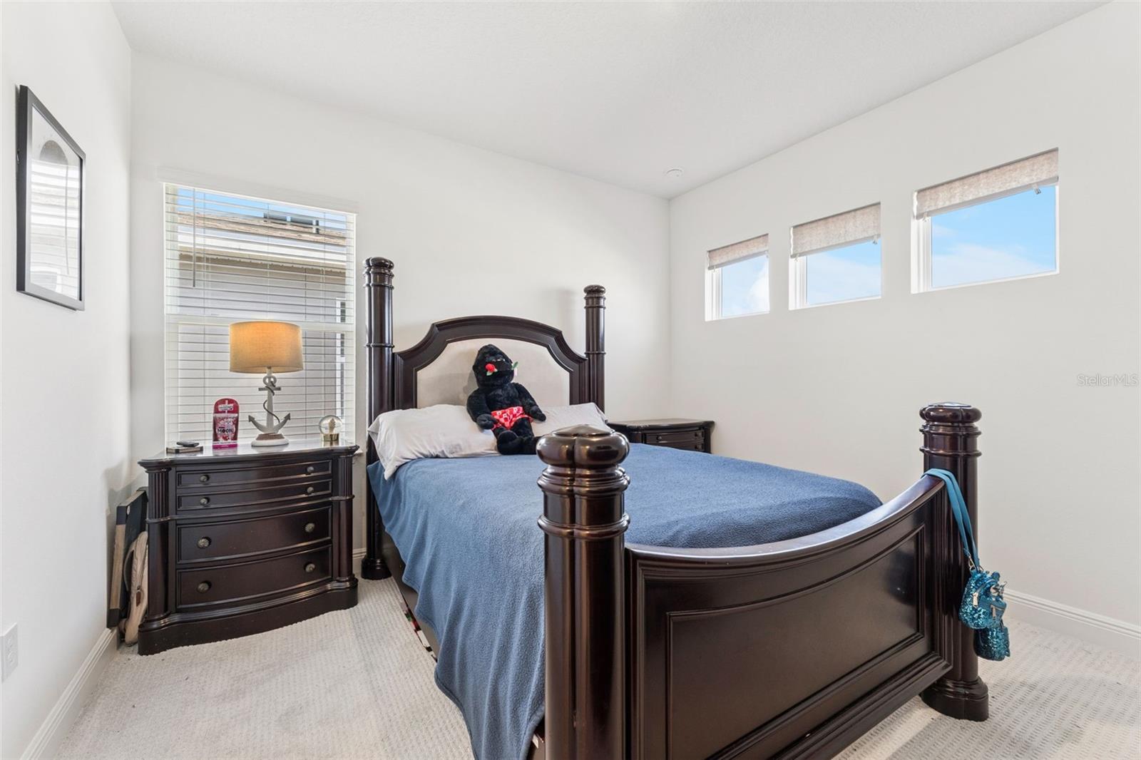 HILLS OF MINNEOLA - Residential