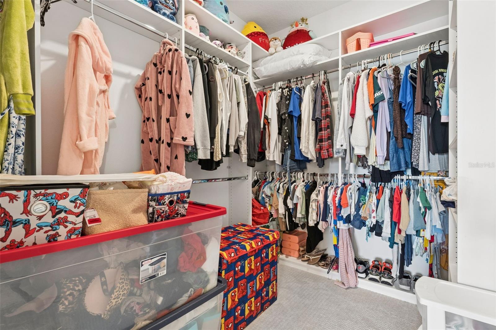 HILLS OF MINNEOLA - Residential