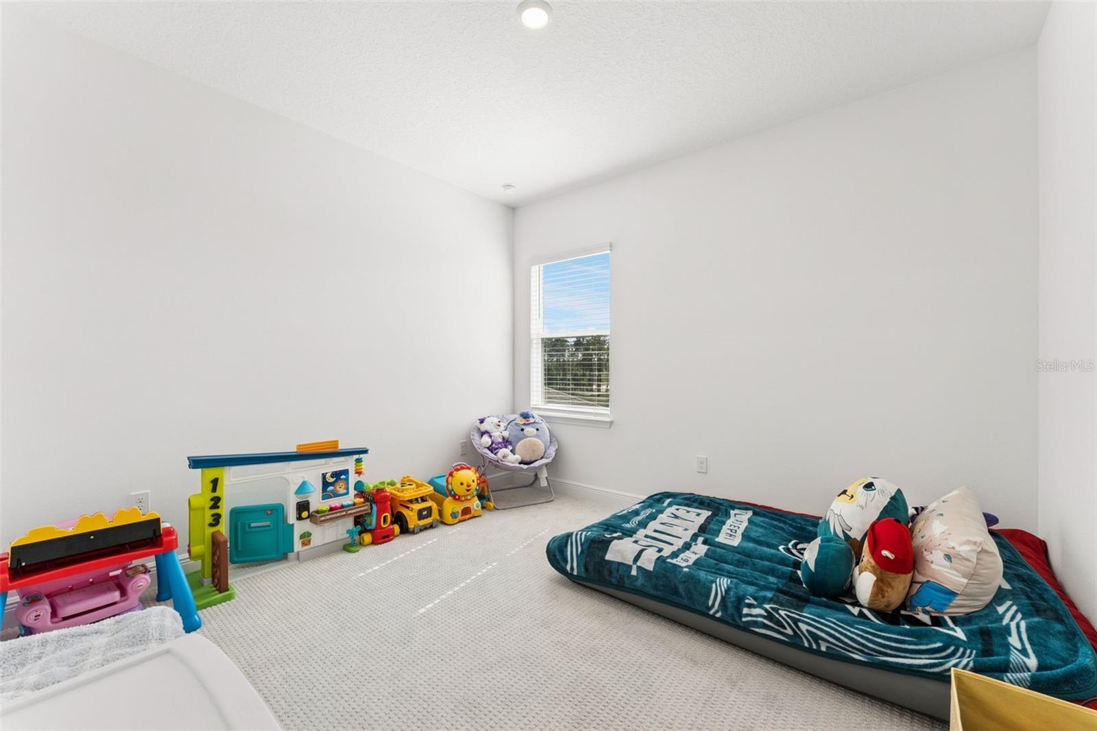 HILLS OF MINNEOLA - Residential