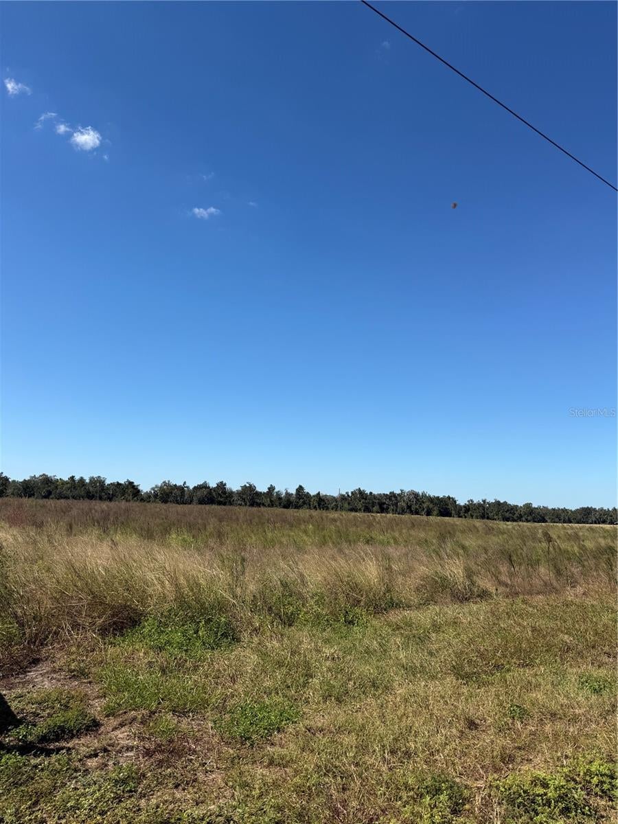 Photo of Himrod Road, Bowling Green, FL 33834 (MLS # A4710699)