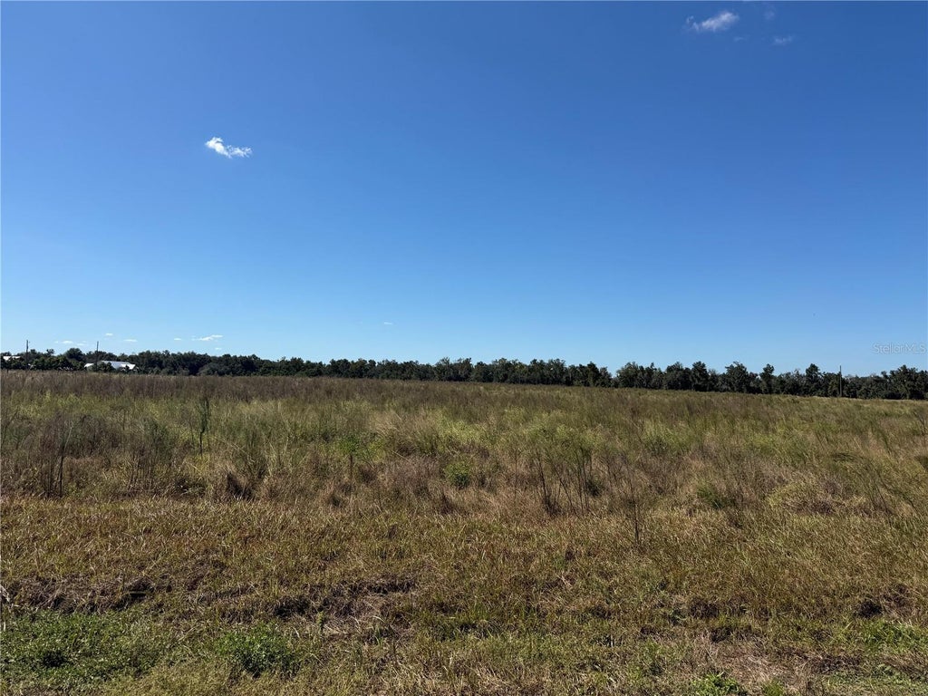 Photo of Himrod Road, Bowling Green, FL 33834 (MLS # A4710699)