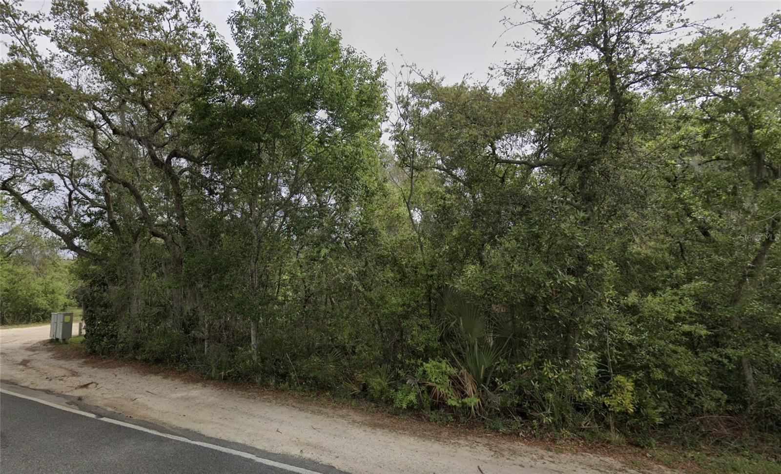Looking for an affordable slice of Florida? This corner lot in the Handy Hill subdivision offers 0.24 acres of flat, wooded land with dirt road access via NE 154th Pl—perfect for your future home, mobile home, or investment property. Located just 5 minutes from Fort McCoy and less than an hour from Gainesville, this property provides quiet, rural living with access to modern conveniences. No HOA, no restrictions beyond standard county zoning (R-4), and mobile/manufactured homes are allowed.