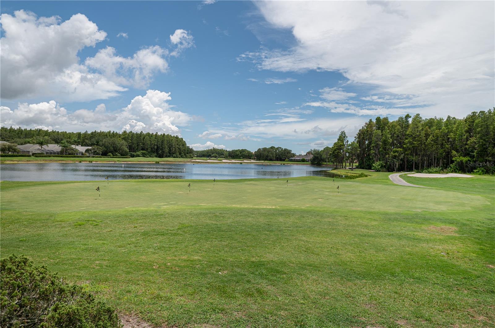 CHEVAL WEST VILLG 4 PH 1 - Residential