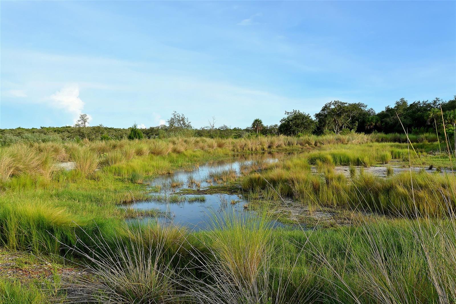 MARINA WALK ON ONE PARTICULAR HARBOUR 2 - Residential