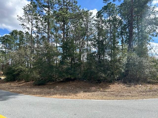 MARION OAKS UN 10 - Land