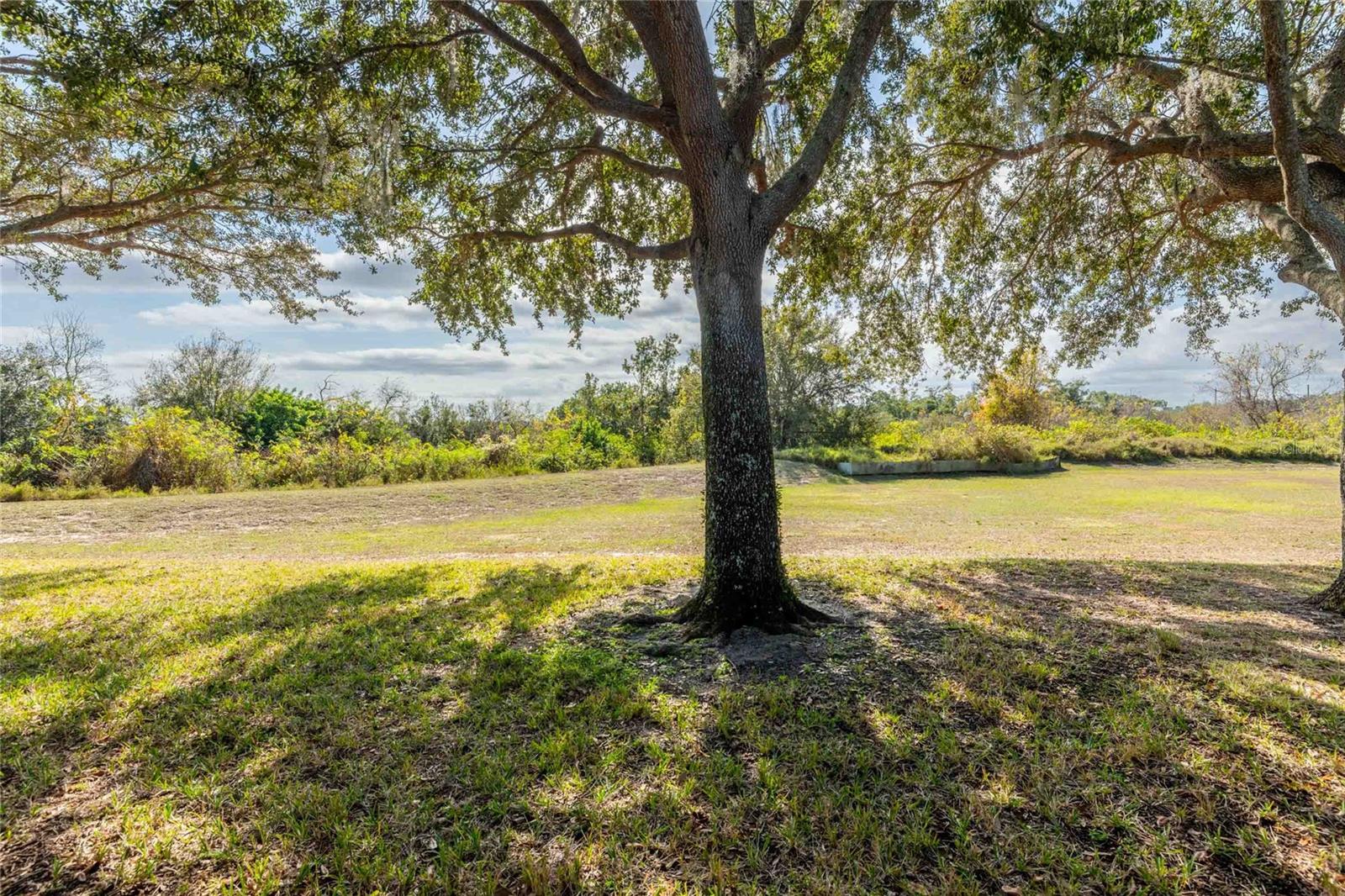 TRADITIONS PH 01 - Residential