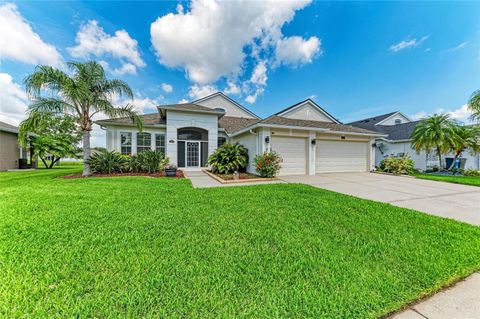 5319 120TH AVENUE E PARRISH FL 34219