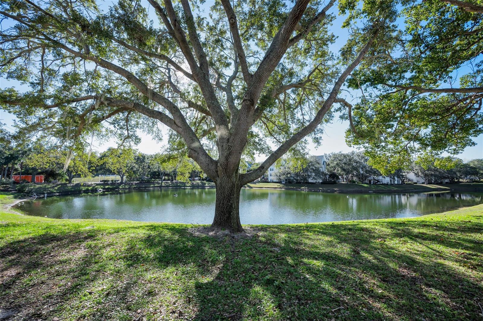 BENTLEY AT COBBS LANDING CONDO THE - Residential