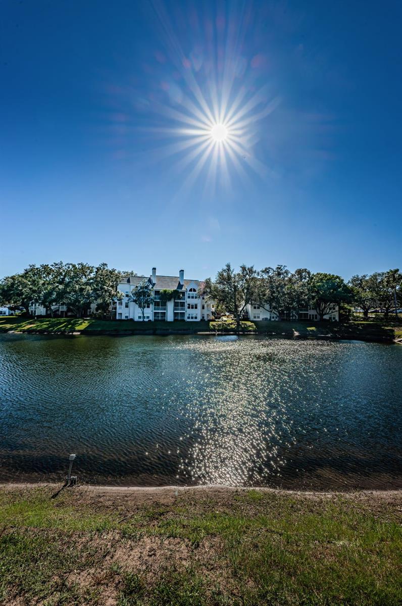 BENTLEY AT COBBS LANDING CONDO THE - Residential