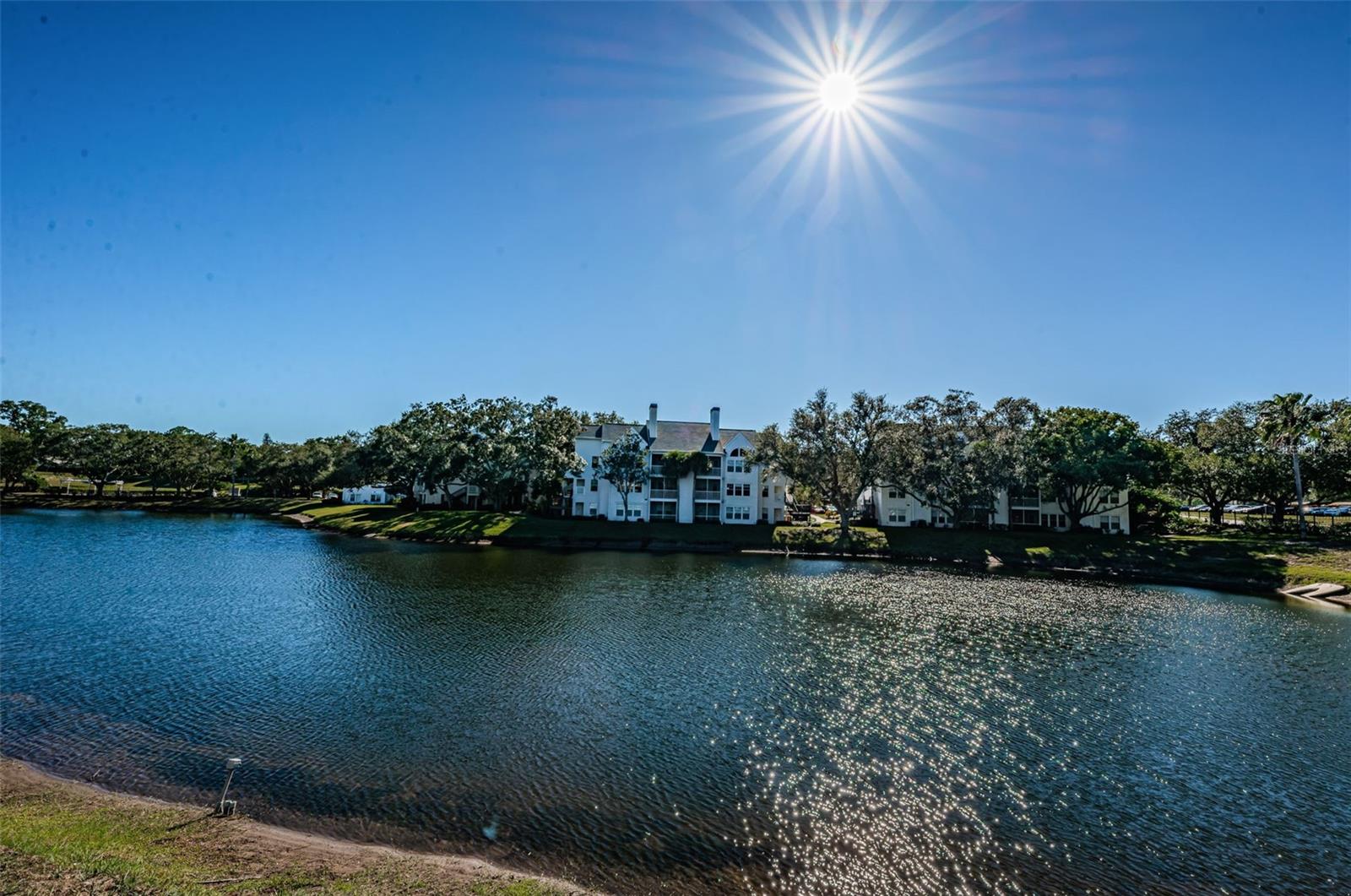 BENTLEY AT COBBS LANDING CONDO THE - Residential