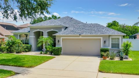 A home in RIVERVIEW