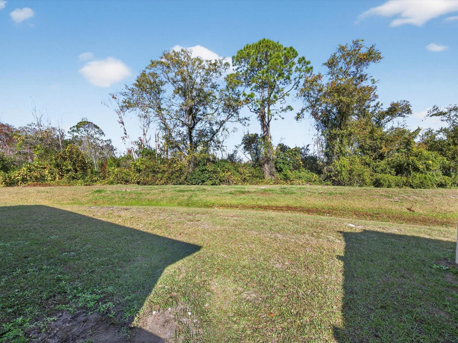 BELLA VITA PH 1A & 1B-1 - Residential