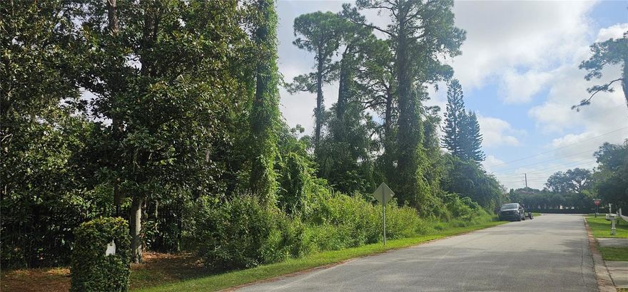 A rare opportunity to build your dream estate in one of Central Florida’s most coveted luxury corridors.
Nestled among multi-million-dollar homes in the highly sought-after Windermere Heights / Dr. Phillips area, this .96-acre buildable lot offers the perfect canvas for a custom residence that balances elegance, privacy, and convenience.
Located on a quiet, tree-lined street surrounded by established estate homes, this property combines natural beauty with exceptional accessibility — just minutes from the Butler Chain of Lakes, Bay Hill Golf Club, and Restaurant Row.
It’s a serene setting where every detail of your future home can reflect your vision, from a gated circular drive to a resort-style pool or detached guest casita. With nearly an acre of high, dry land and no HOA, you’ll enjoy architectural freedom and long-term value in one of Orlando’s most enduring luxury neighborhoods. Public utilities are nearby, and the lot’s rectangular shape allows for a wide range of design possibilities.