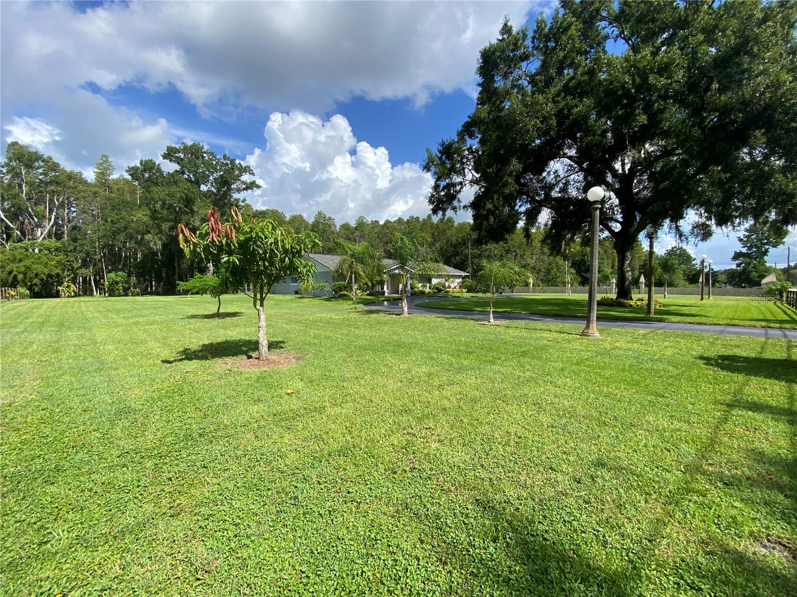 16918 TOBACCO ROAD