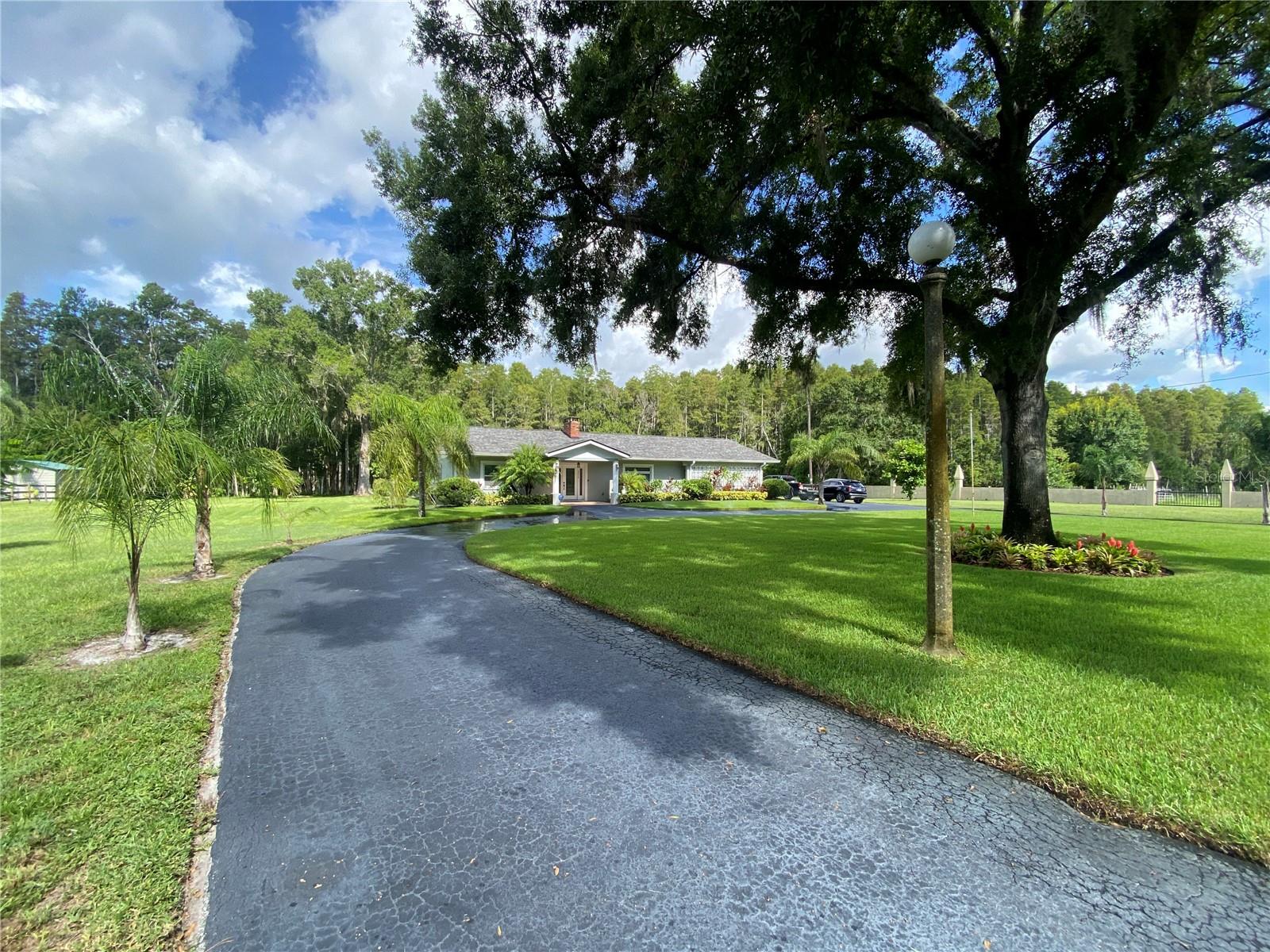16918 TOBACCO ROAD