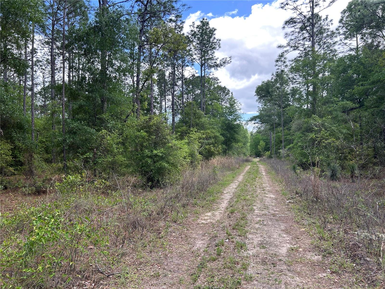 TBD SW 159TH AVENUE