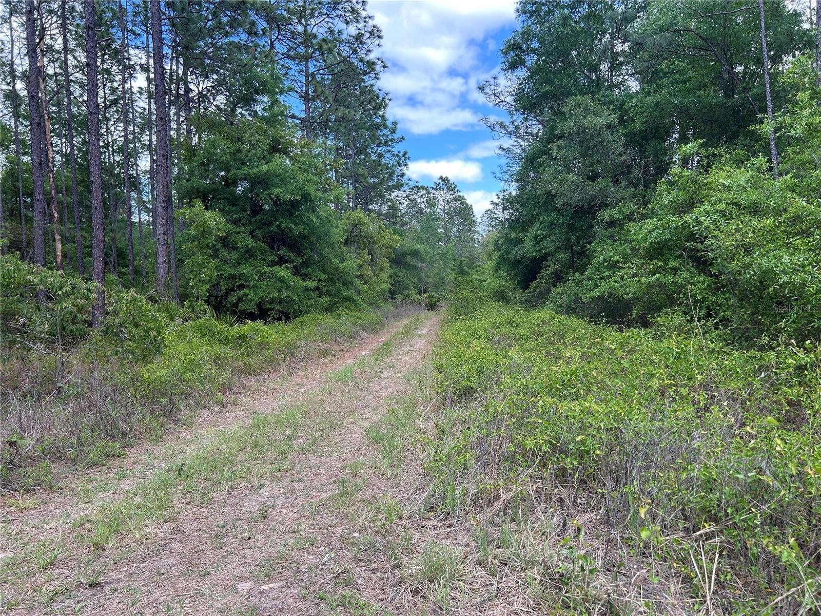 TBD SW 159TH AVENUE