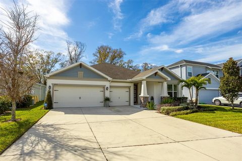 4914 LAKESHORE OAKS COURT TAMPA FL 33624