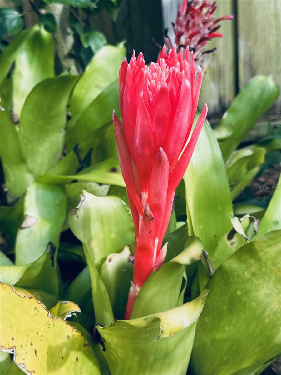 SILVER SANDS SEC B - Residential