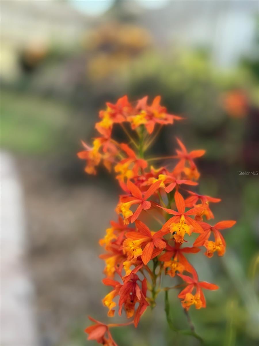 SILVER SANDS SEC B - Residential