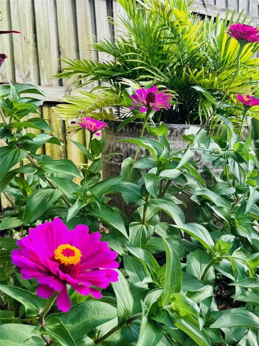 SILVER SANDS SEC B - Residential