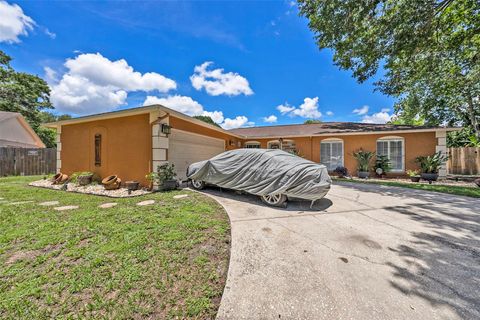 A home in TAMPA