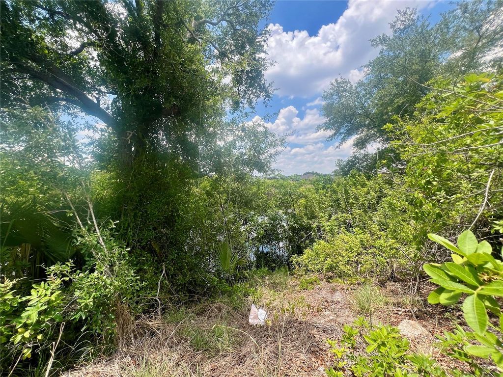 Photo of 1623 NW 26th Street, Cape Coral, FL 33993 (MLS # C7492523)