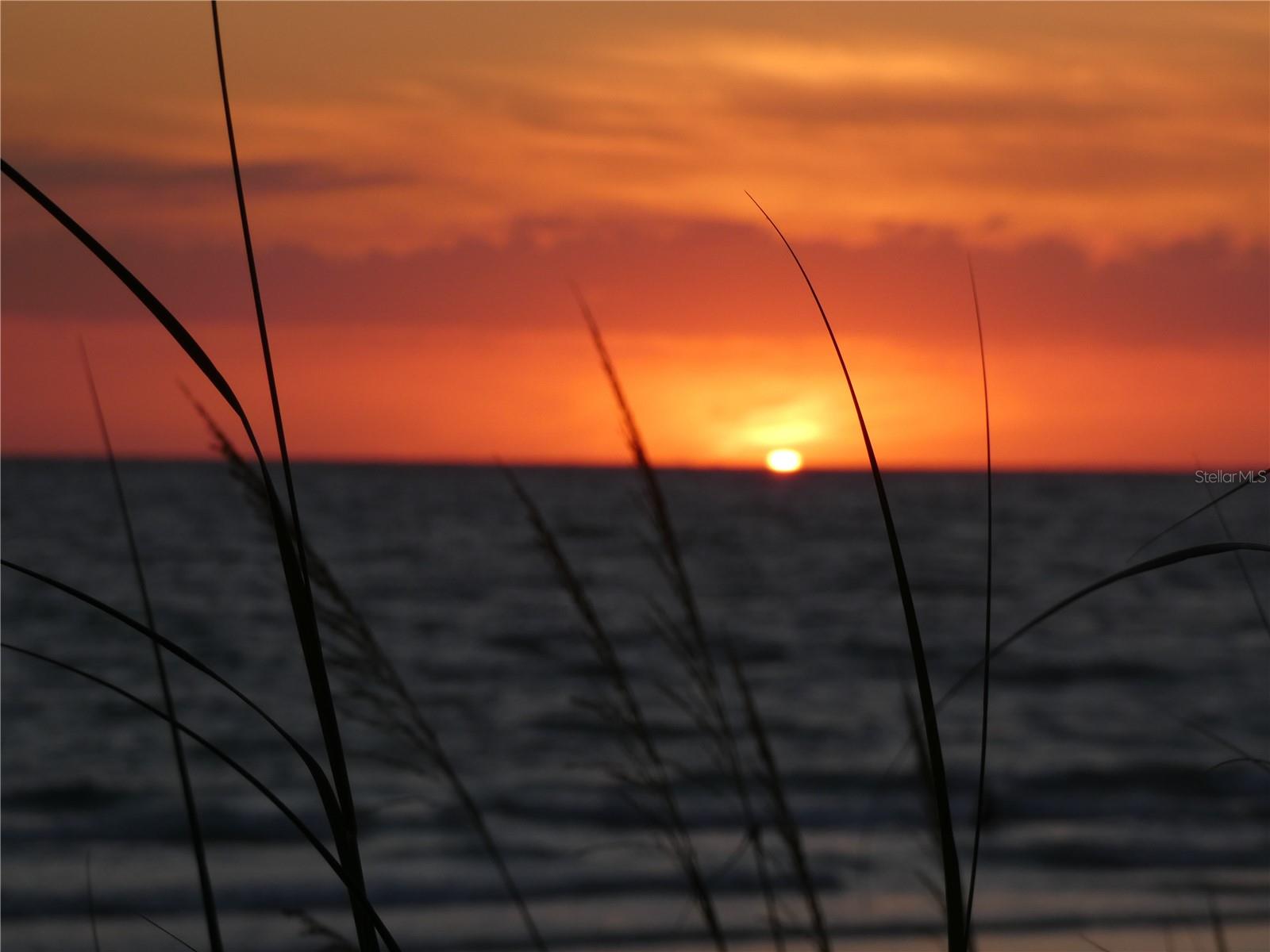 GULF HAVEN - Residential