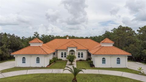 A home in ORLANDO