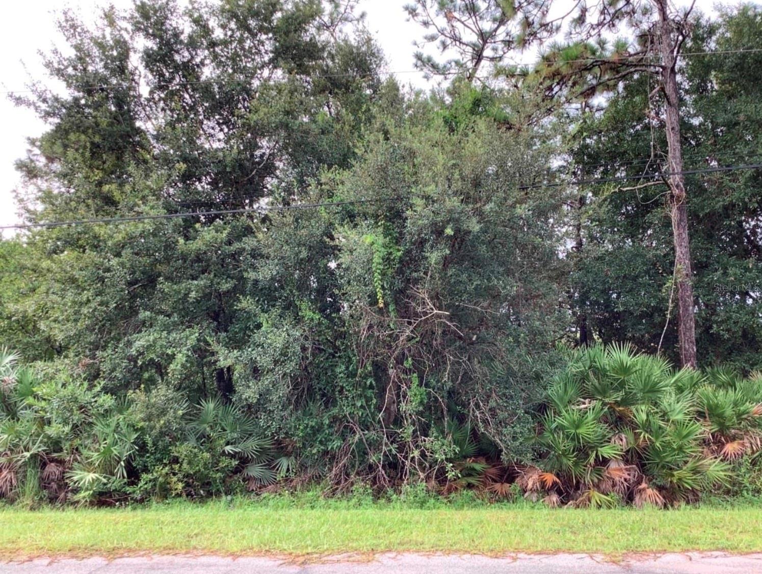 Build your dream home on this exceptional vacant lot in Wedgefield Cape Orlando Estates, one of East Orlando’s most sought-after communities! This expansive lot offers the perfect blend of privacy and natural beauty, nestled among custom-built homes and surrounded by serene Florida landscape. Enjoy the peace and space of country living with convenient access to major highways, the Orlando International Airport, Lake Nona Medical City, UCF, and the Space Coast beaches. Whether you’re looking to build now or invest for the future; this is an outstanding opportunity in a rapidly growing area. Don’t miss your chance to own a piece of paradise in Wedgefield!