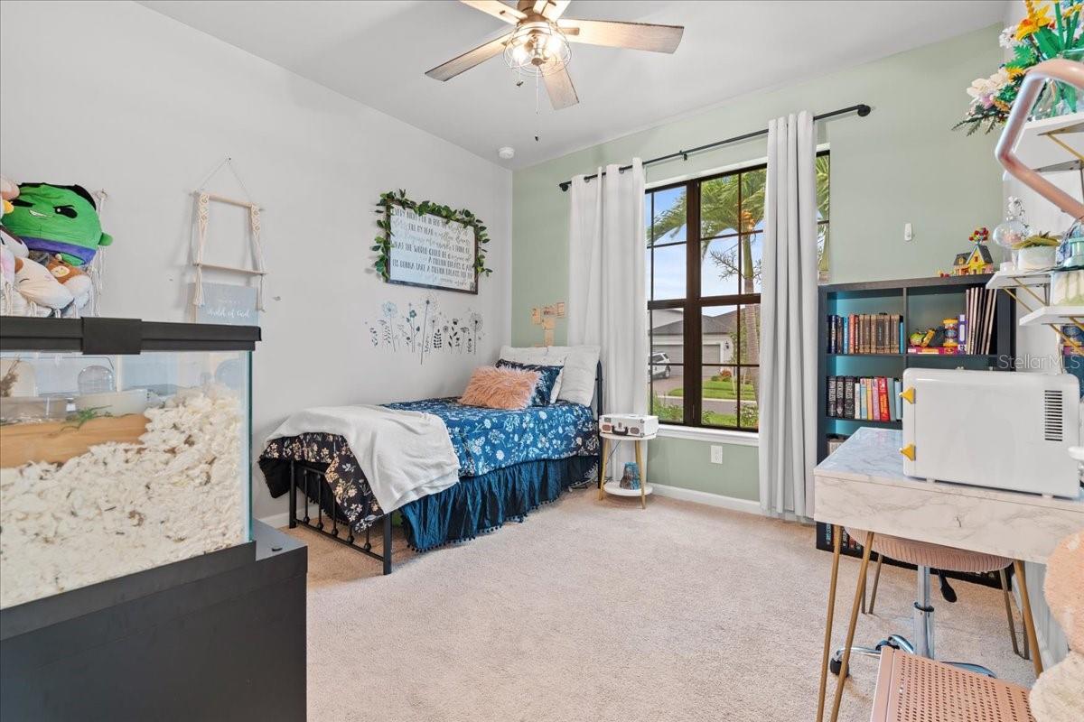 CEDAR GROVE PH 2A - Residential