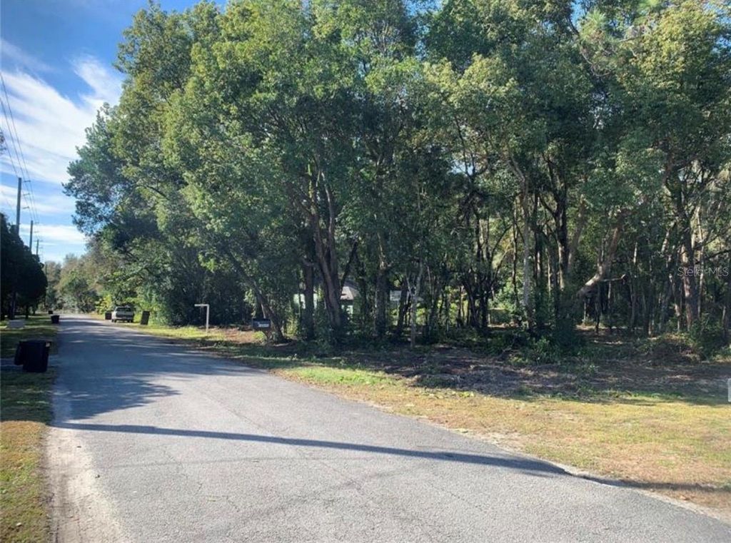 Photo of Dvorak Drive, Spring Hill, FL 34610 (MLS # TB8418974)