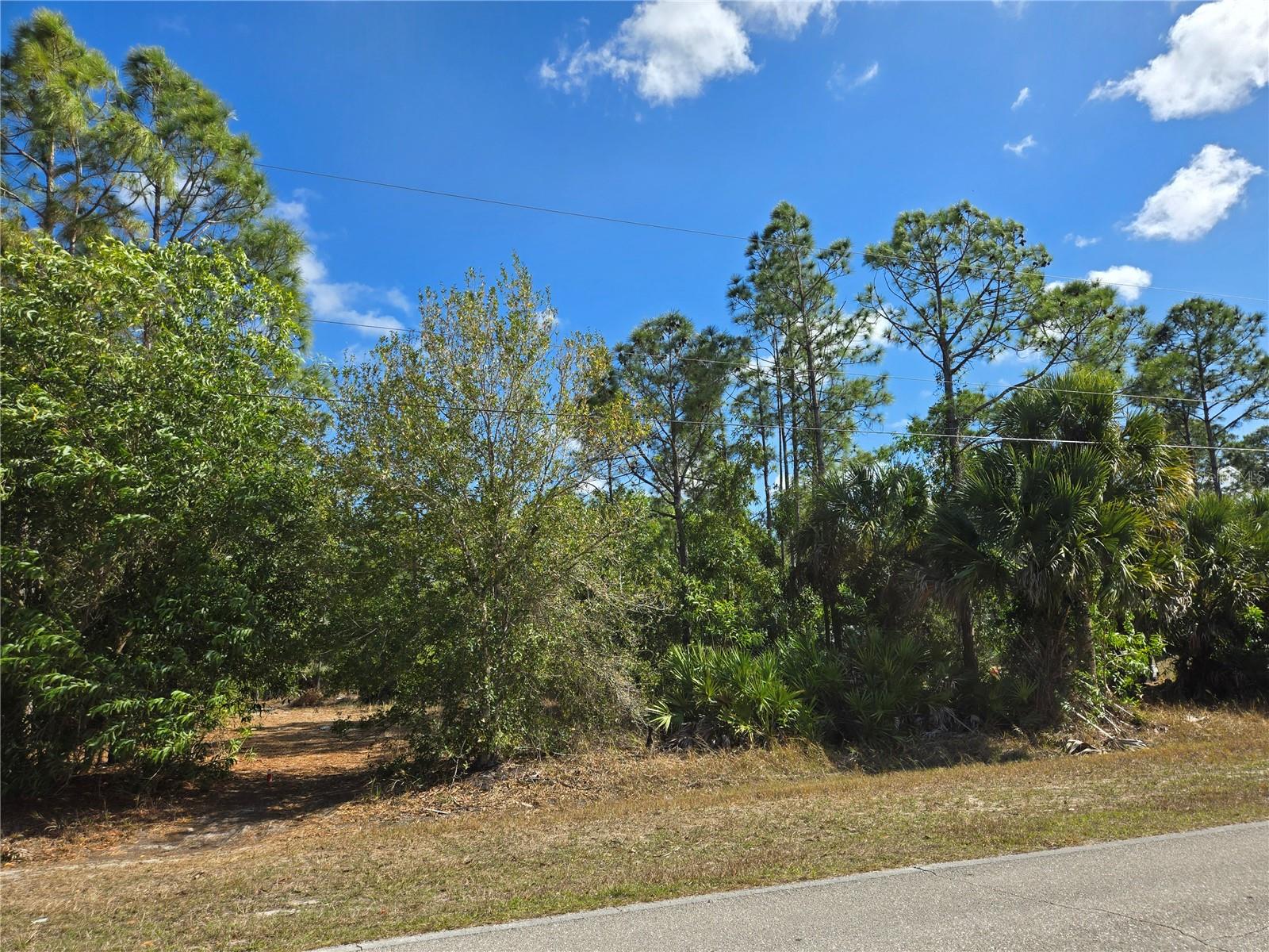 12312 GREEN GULF BOULEVARD