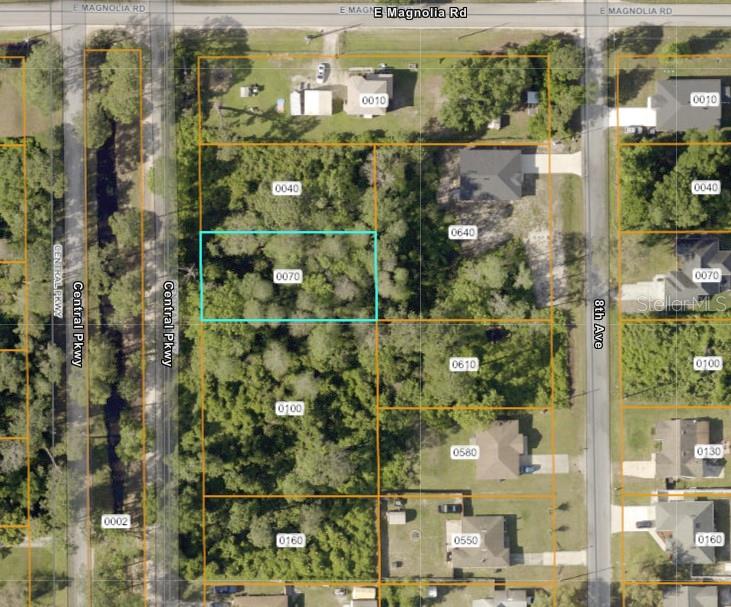 Photo of 1175 Central Parkway, Deland, FL 32724 (MLS # TB8559839)