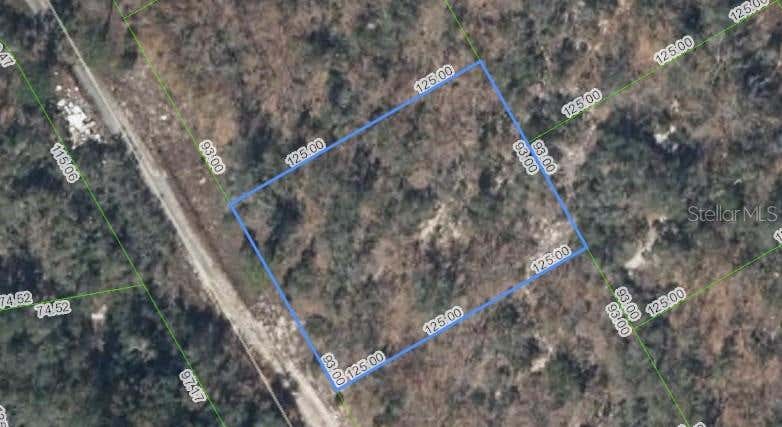 Photo of 289 Blue Horizon Drive, Lake Placid, FL 33852 (MLS # P4939696)