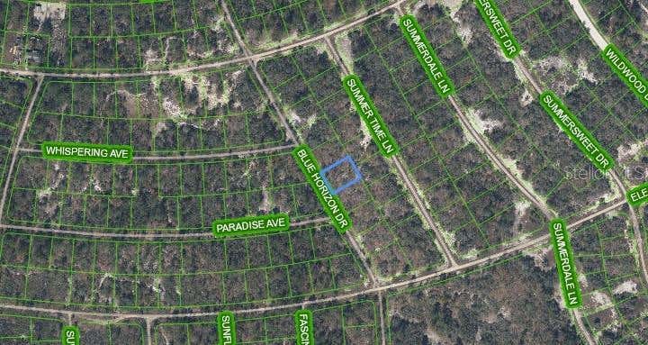 Photo of 289 Blue Horizon Drive, Lake Placid, FL 33852 (MLS # P4939696)