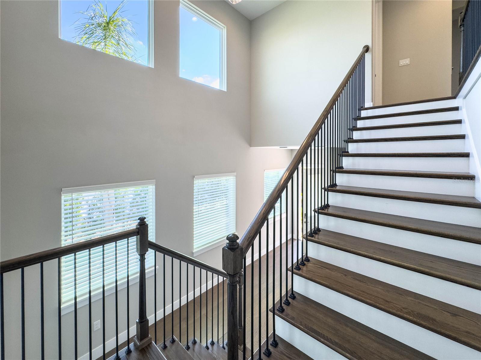 BELLA COLLINA WEST - Residential