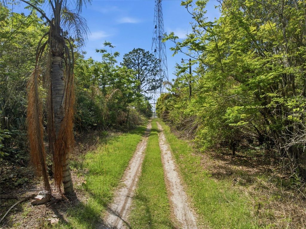 Photo of 4267 Neff Lake Road, Brooksville, FL 34601 (MLS # W7884351)