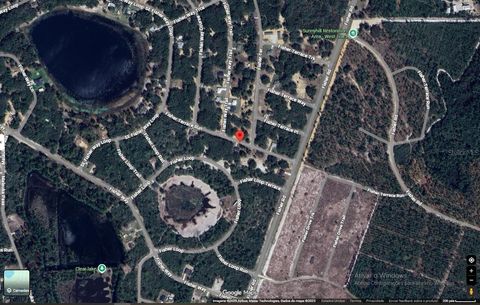 30 FISHER TERRACE RUN OCKLAWAHA FL 32179