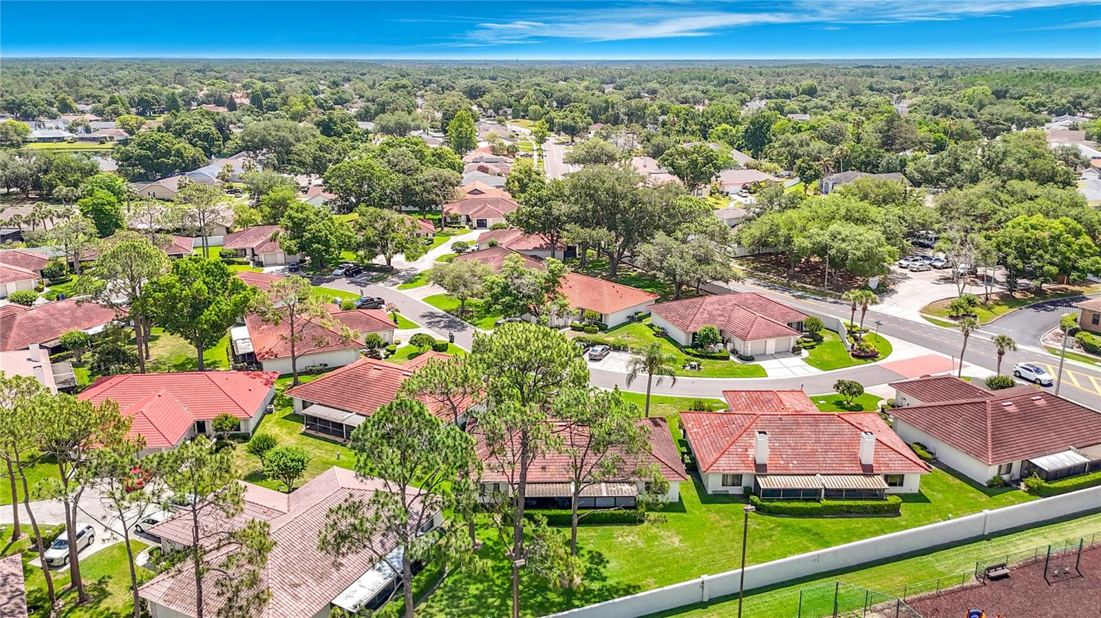 LAKEVIEW VILLAS AT PEBBLE CREE - Residential